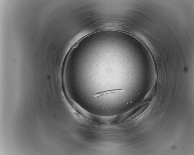 X0000095521434200712211253