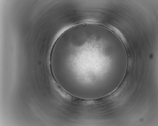 X0000095521435200712211253