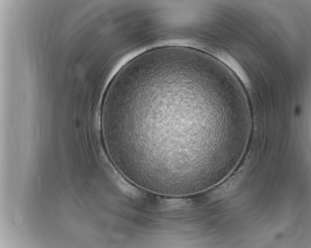 X0000095521436200712211253