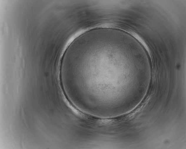 X0000095521437200712211253