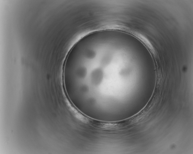 X0000095521439200712211253