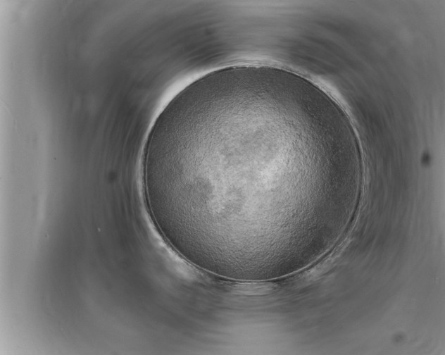 X0000095521440200712211253