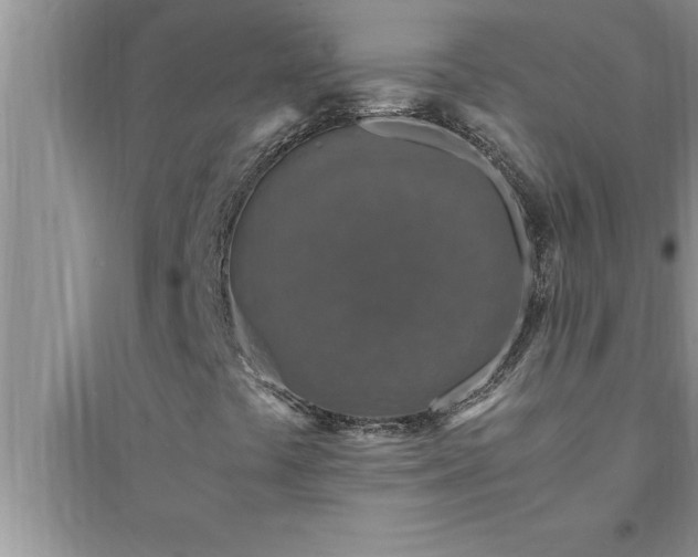 X0000095521441200712211252