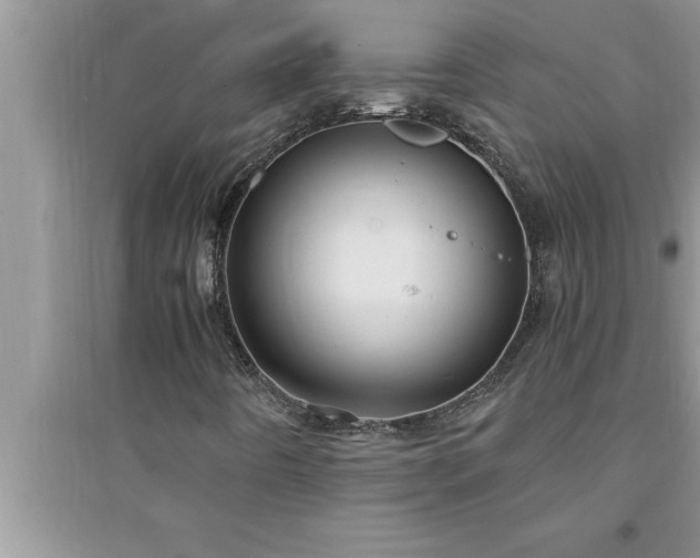 X0000095521442200712211252