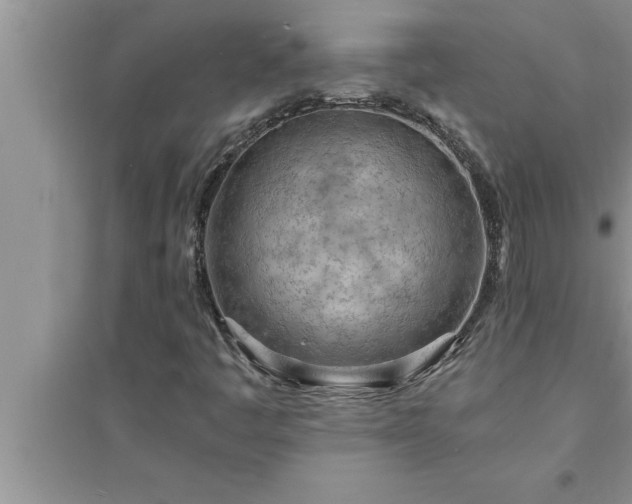 X0000095521445200712211252