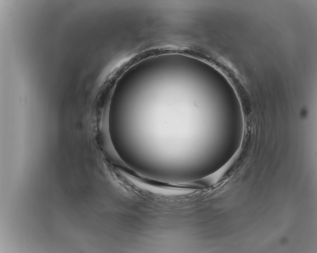 X0000095521448200712211252