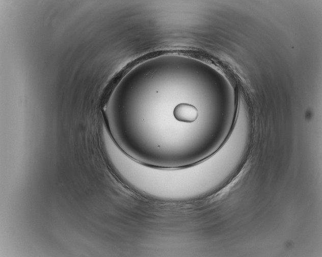 X0000095521449200712211252