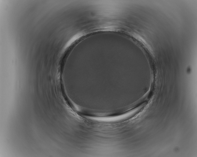 X0000095521450200712211252