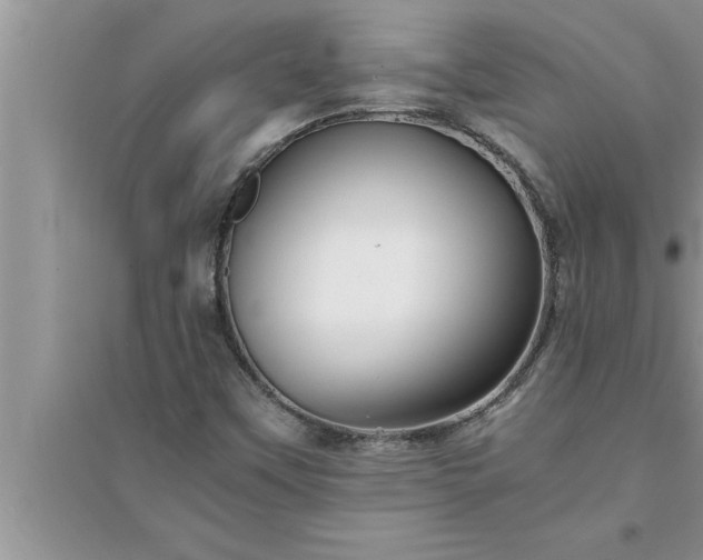 X0000095521451200712211252