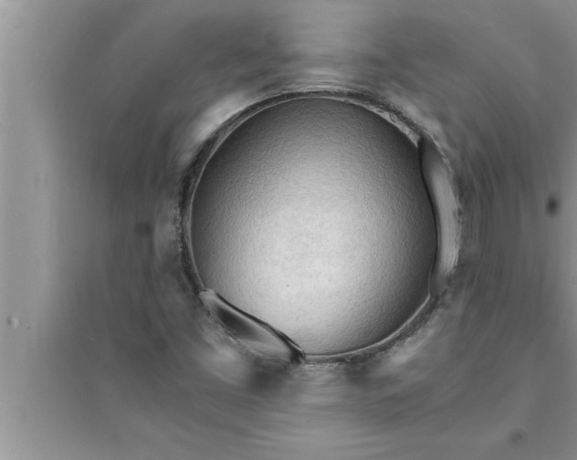 X0000095521453200712211252