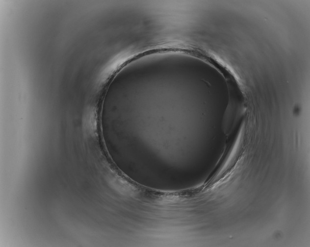 X0000095521455200712211252