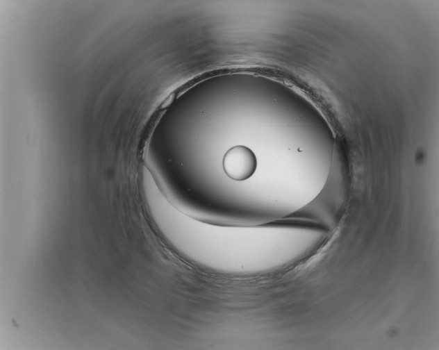 X0000095521457200712211252