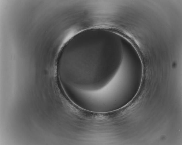 X0000095521459200712211252