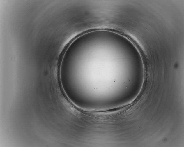 X0000095521460200712211252