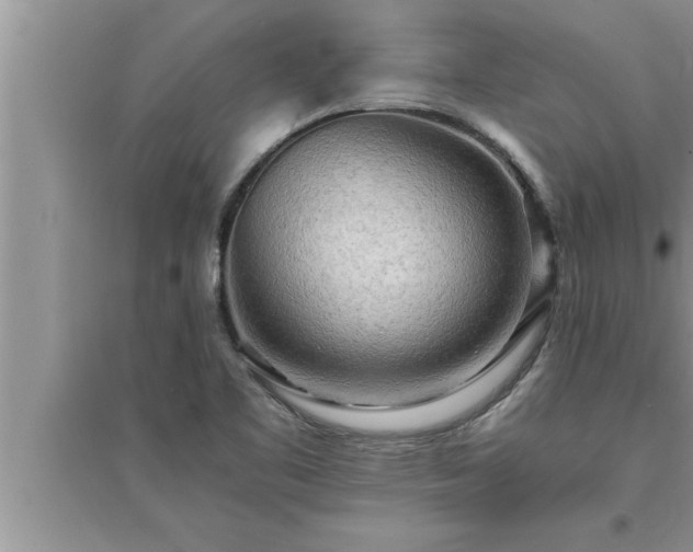 X0000095521461200712211252