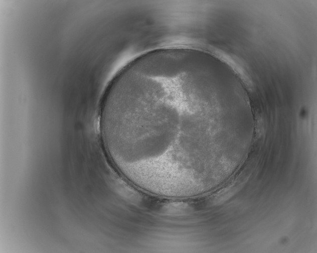 X0000095521462200712211252