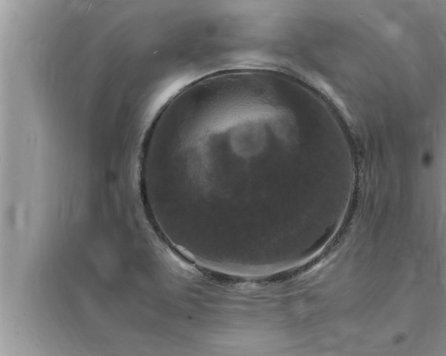 X0000095521463200712211252