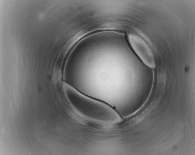 X0000095521465200712211252