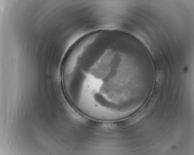 X0000095521466200712211252