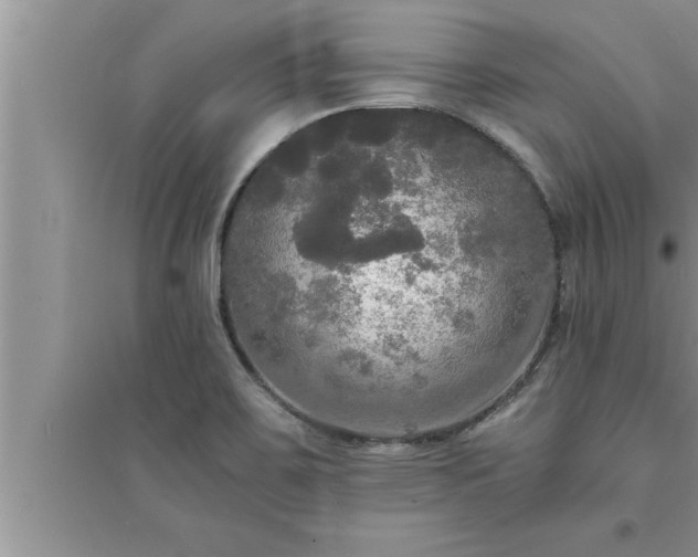 X0000095521467200712211252