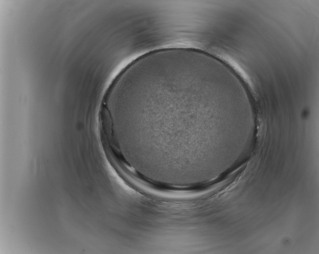 X0000095521468200712211252