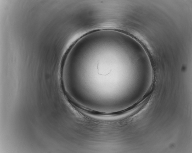 X0000095521469200712211252