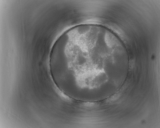 X0000095521470200712211252