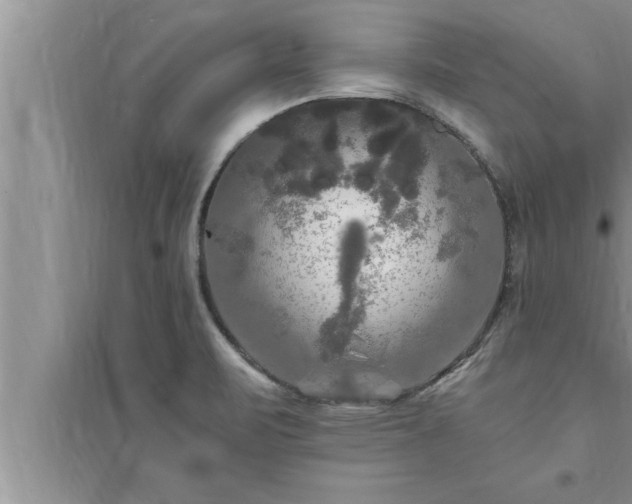 X0000095521471200712211252