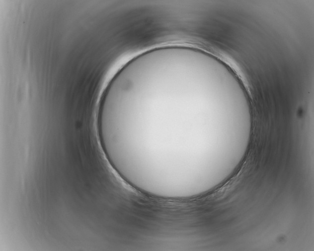 X0000095521472200712211252