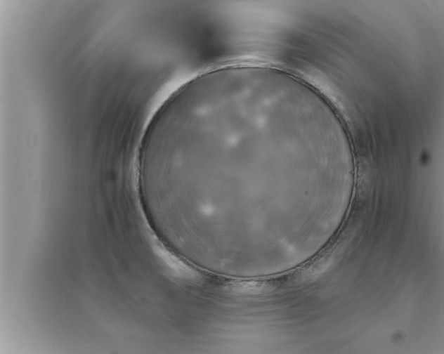 X0000095521474200712211252