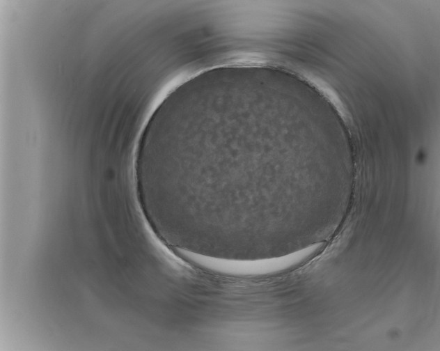 X0000095521475200712211252