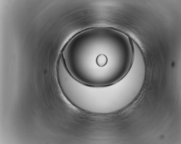 X0000095521476200712211252