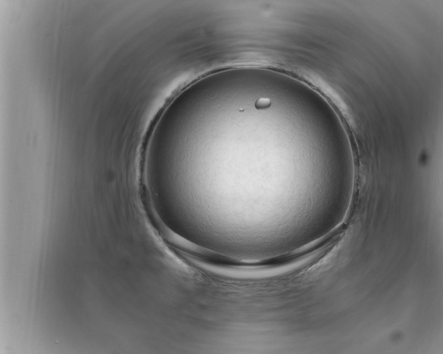 X0000095521477200712211252