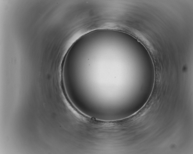 X0000095521479200712211252