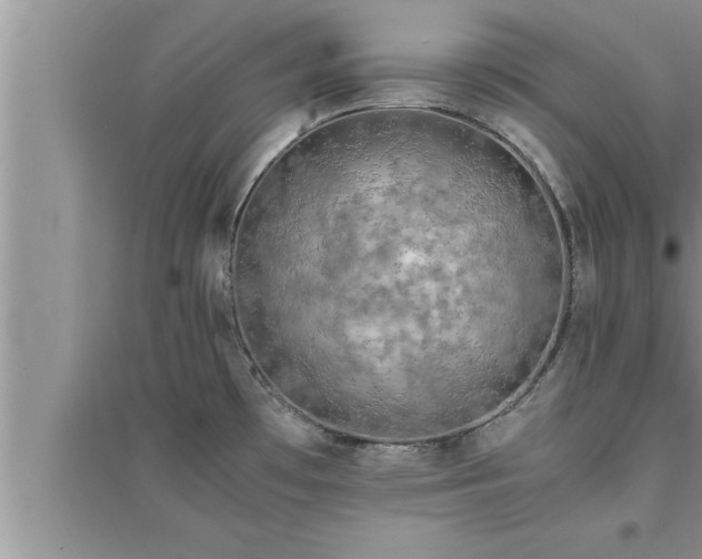 X0000095521481200712211252