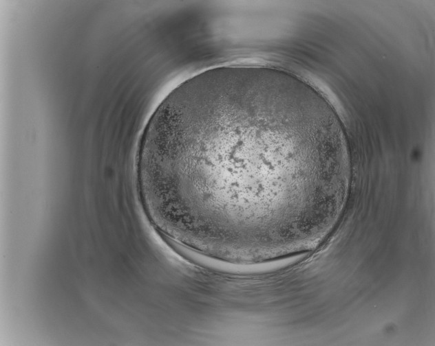 X0000095521483200712211252