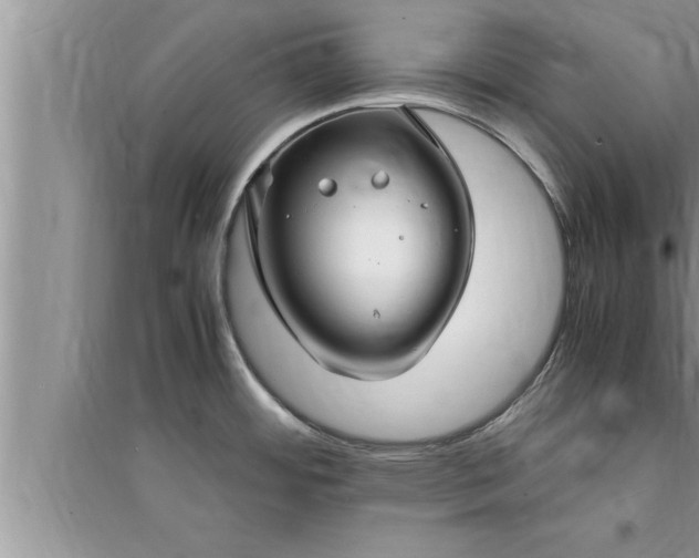 X0000095521484200712211252