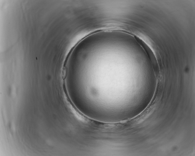 X0000095521485200712211252