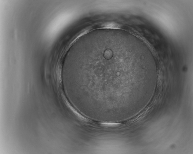 X0000095521487200712211252