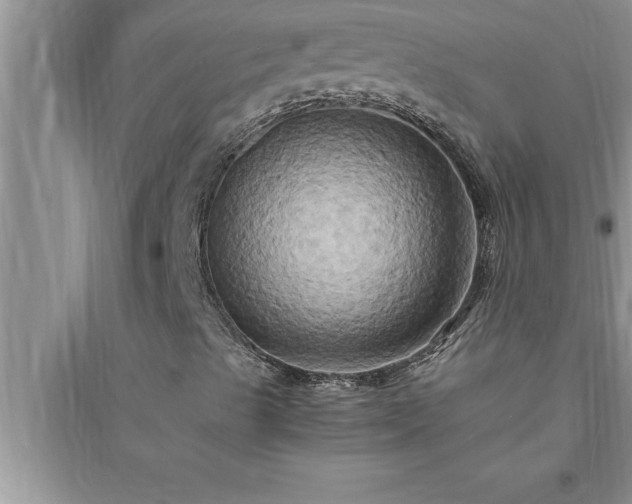 X0000095521489200712211251