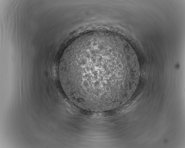 X0000095521490200712211251