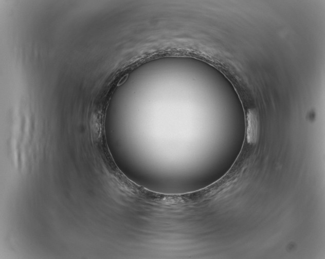 X0000095521491200712211251