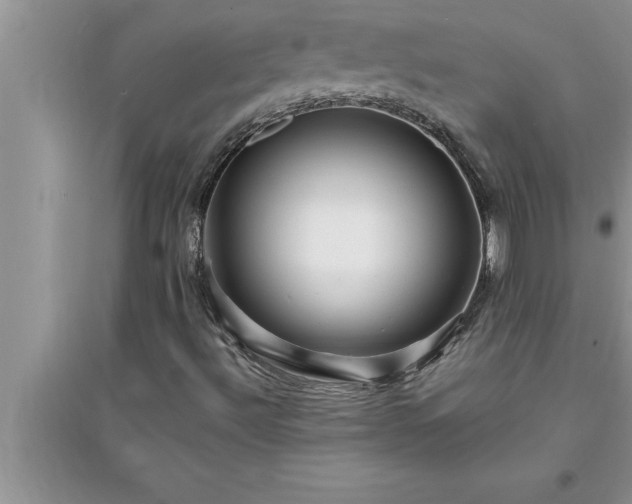 X0000095521492200712211251