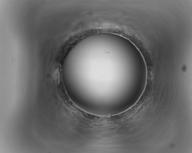 X0000095521493200712211251