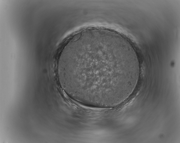 X0000095521494200712211251