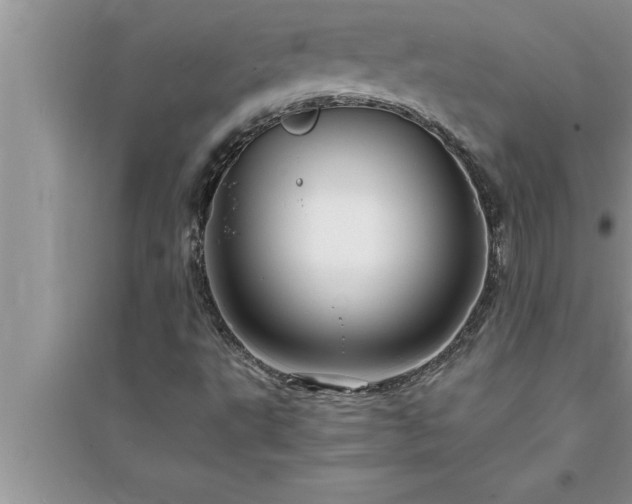 X0000095521495200712211251