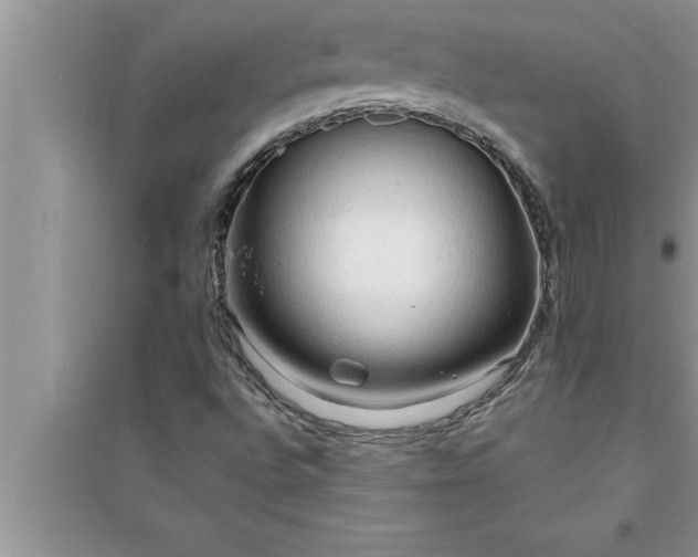 X0000095521496200712211251