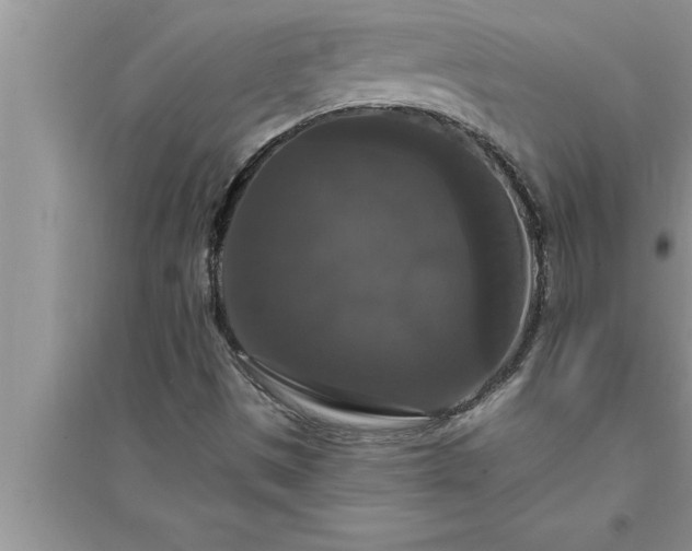 X0000095521497200712211251