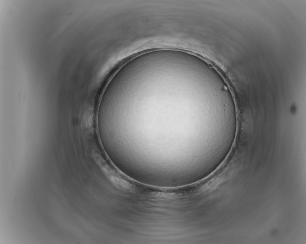 X0000095521499200712211251