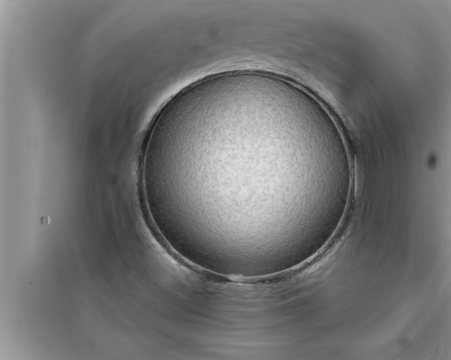 X0000095521500200712211251